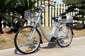 E-Scooter 250W - CityRide