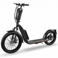 E-Scooter XI-1200-S mit ABE